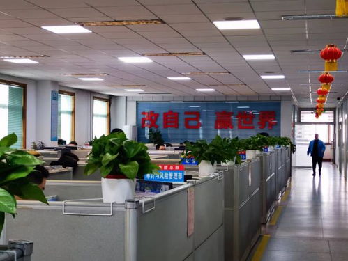 南阳中光厂学校纳入南阳市第十七小学教育集团，区域教育资源整合再升级