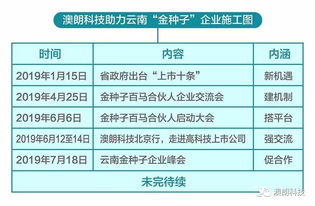 滇商论道 科技金融赋能云南“金种子”企业成长之路——兼谈教育信息咨询的关键角色